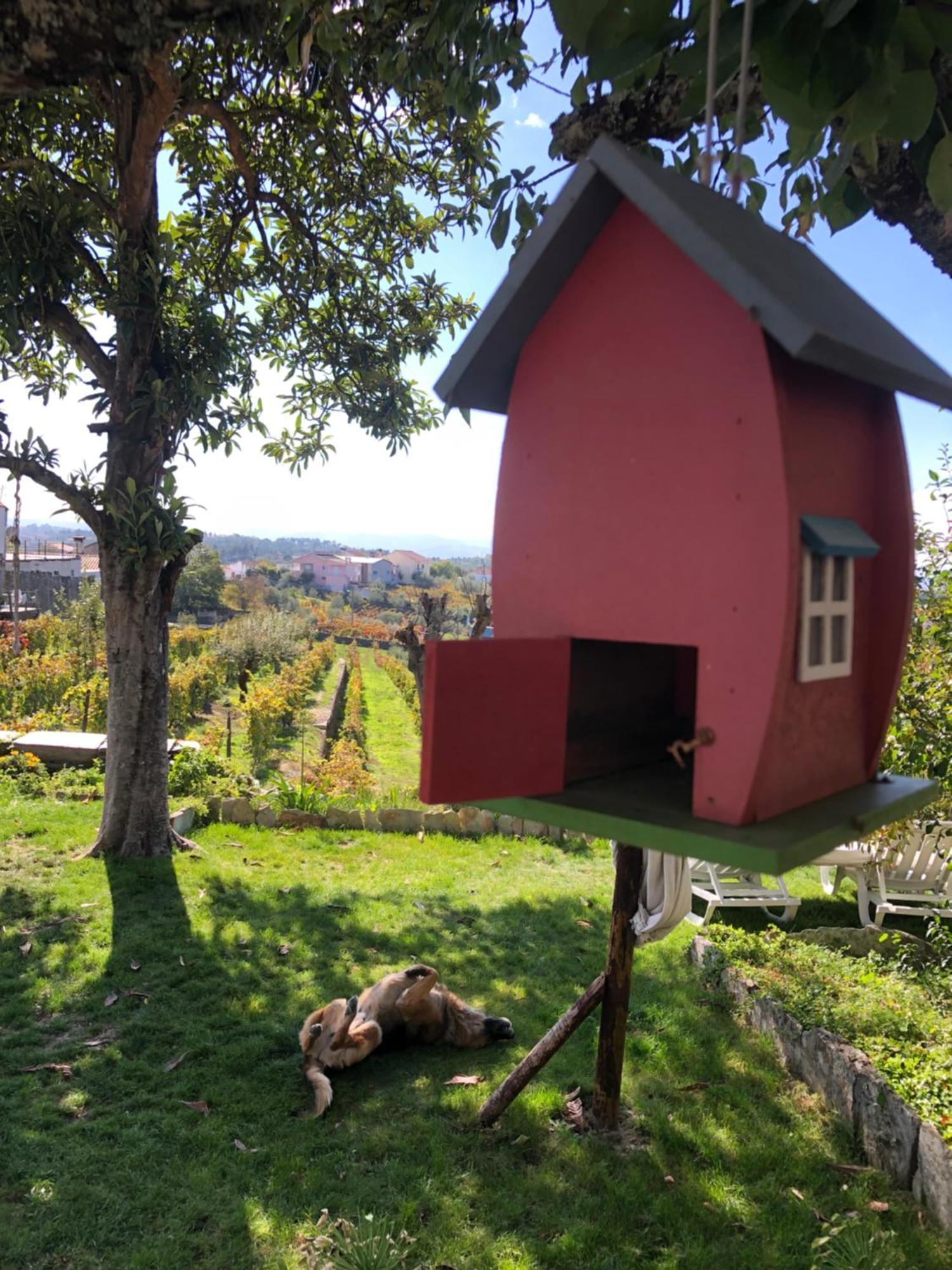 Quinta Da Estrada Winery Douro Valley 4* Peso da Régua