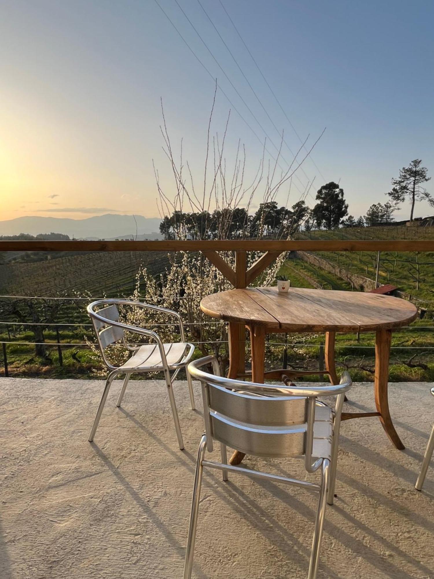 Gasthuis Quinta Da Estrada Winery Douro Valley 4*