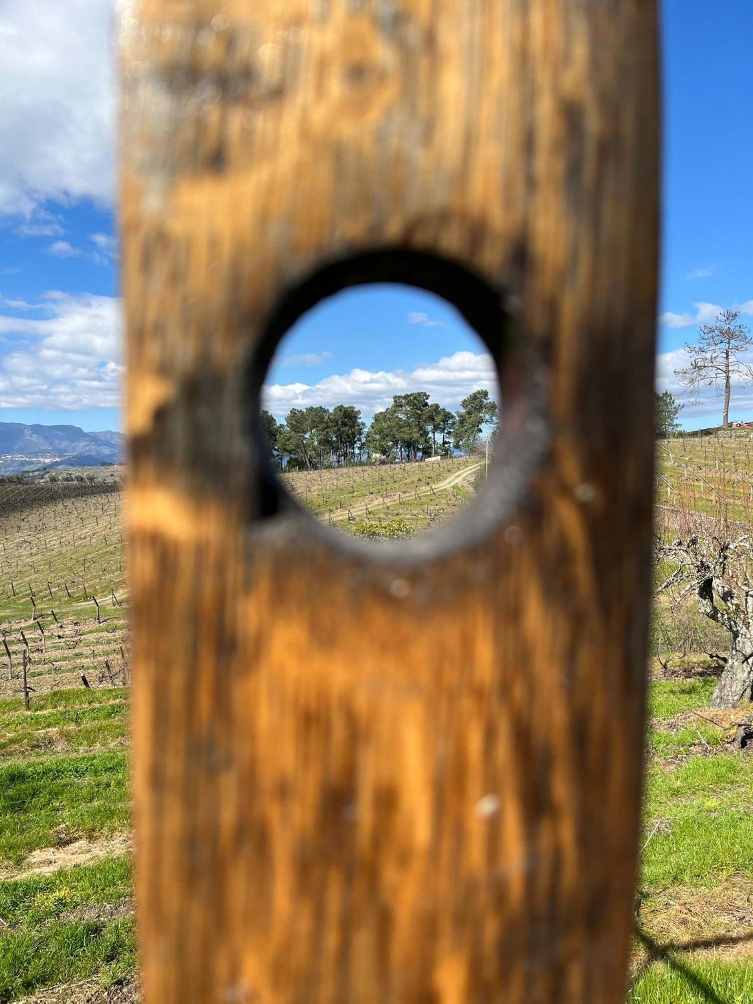 Gasthuis Quinta Da Estrada Winery Douro Valley 4*
