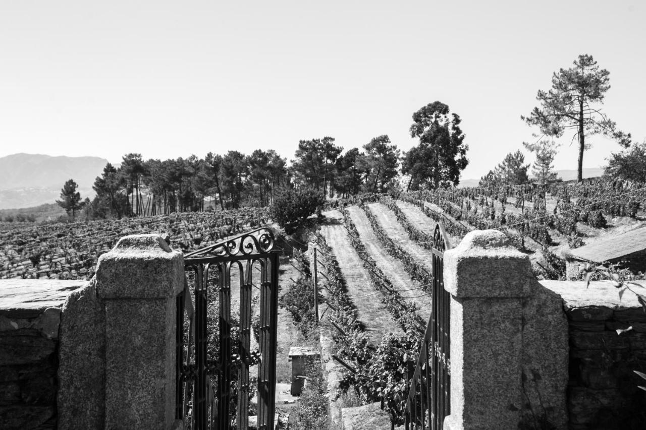 Quinta Da Estrada Winery Douro Valley Peso da Régua