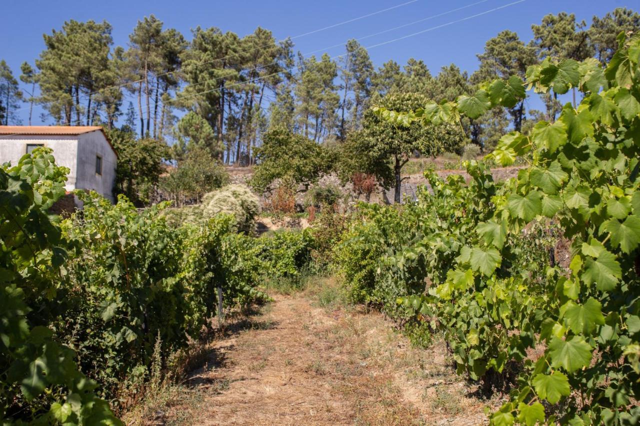 Quinta Da Estrada Winery Douro Valley 4* Peso da Régua