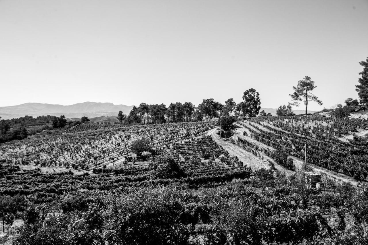 Affittacamere Quinta Da Estrada Winery Douro Valley